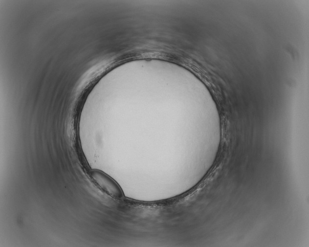 X0000110320245200906111458