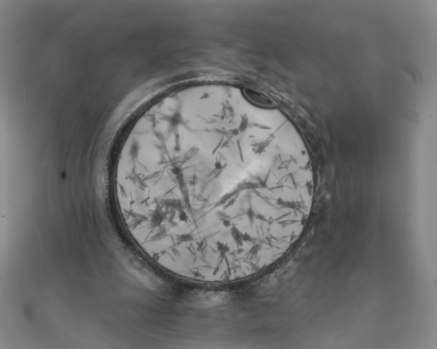 X0000110320247200906111458