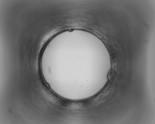 X0000110320248200906111458