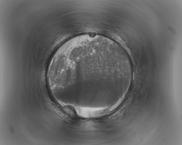 X0000110320249200906111458