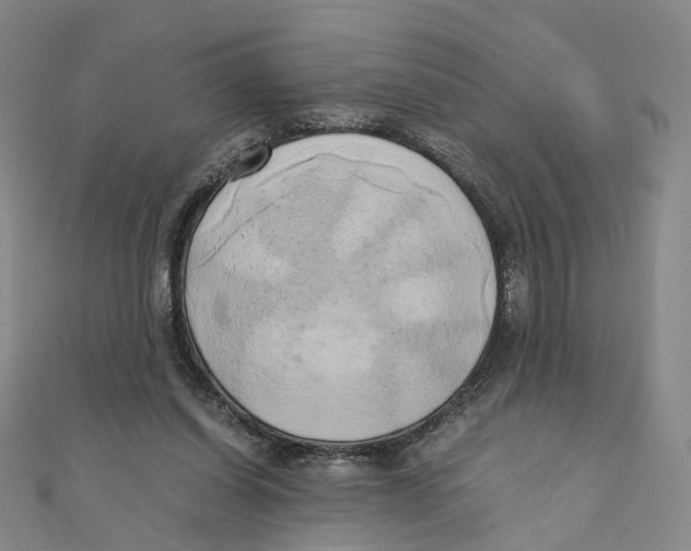 X0000110320254200906111458