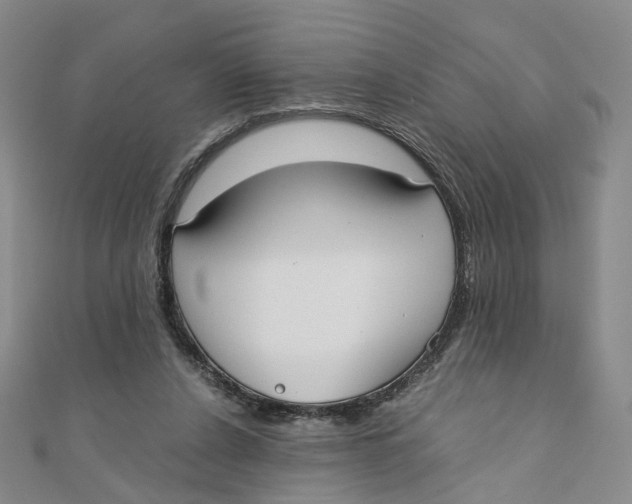 X0000110320256200906111458