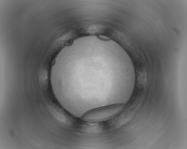 X0000110320260200906111458