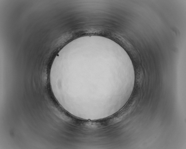 X0000110320261200906111458