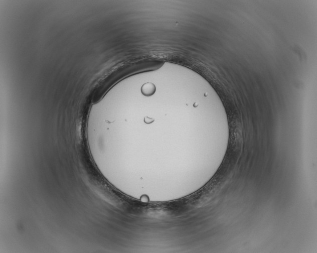 X0000110320262200906111458