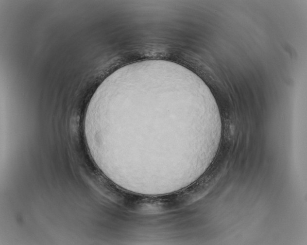 X0000110320263200906111458