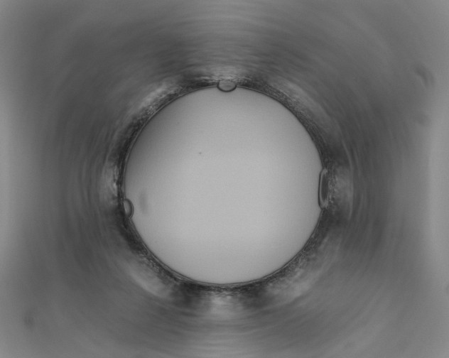 X0000110320264200906111458