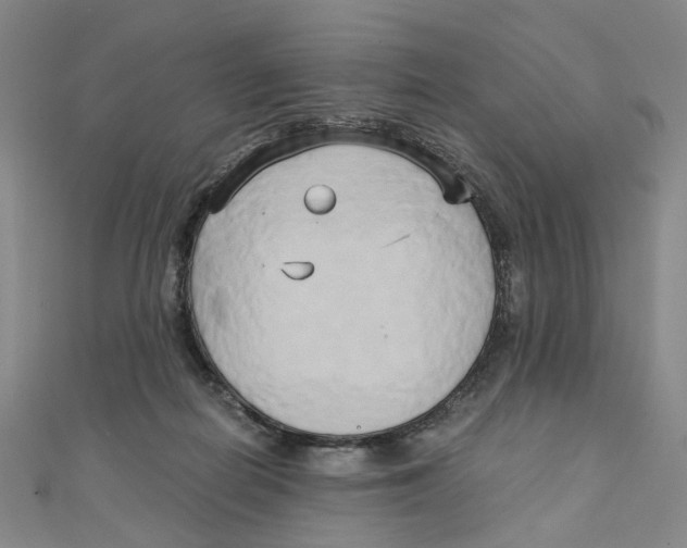 X0000110320266200906111458