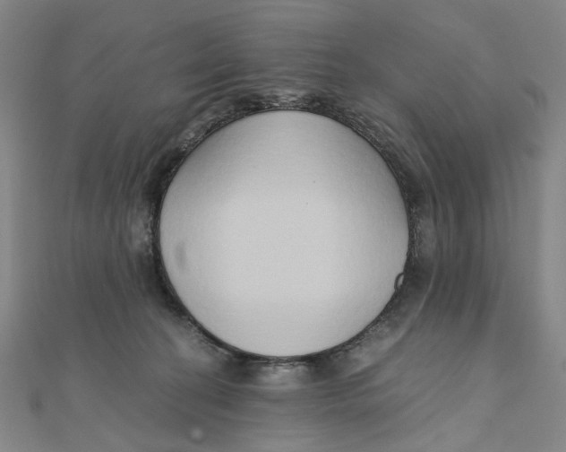 X0000110320274200906111459