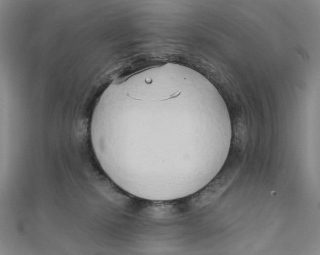 X0000110320278200906111459