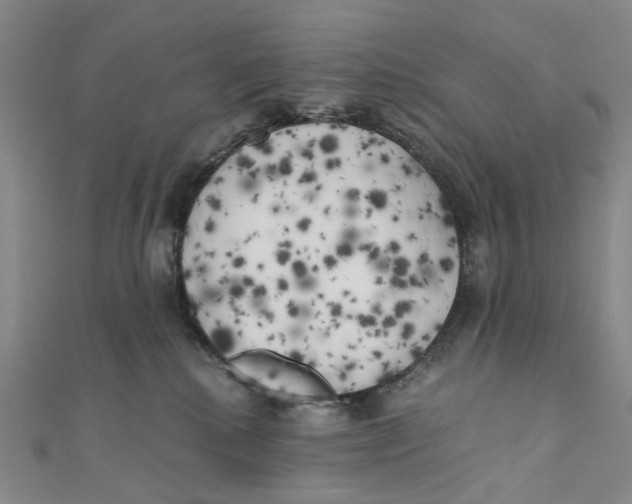 X0000110320280200906111459