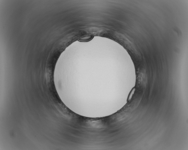 X0000110320283200906111459