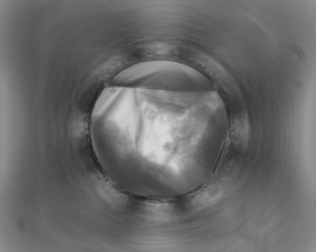 X0000110320284200906111459