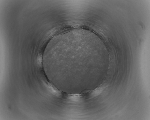 X0000110320288200906111459