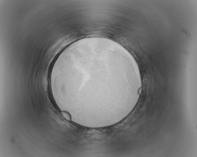 X0000110320290200906111458