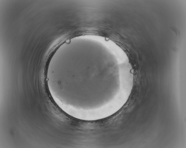 X0000110320293200906111458