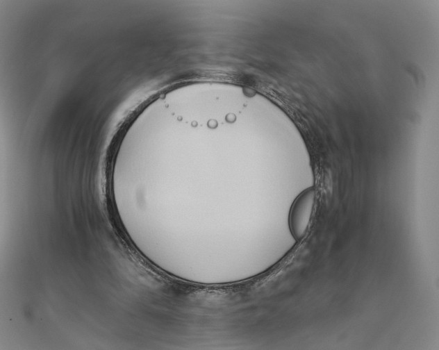 X0000110320294200906111458