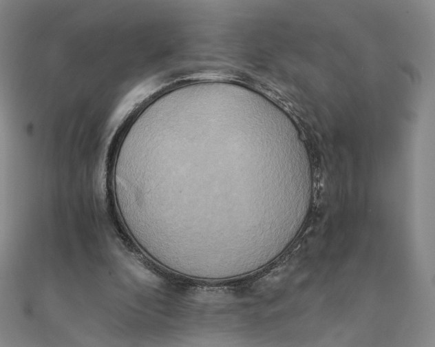 X0000110320296200906111458