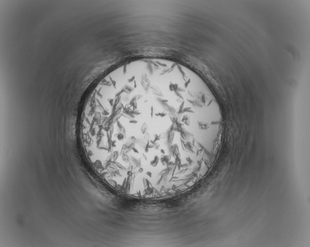 X0000110320299200906111458