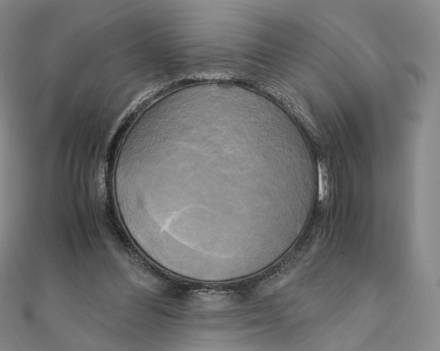 X0000110320300200906111458