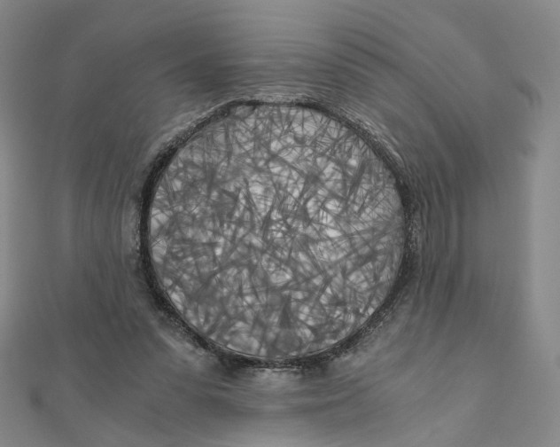 X0000110320303200906111458