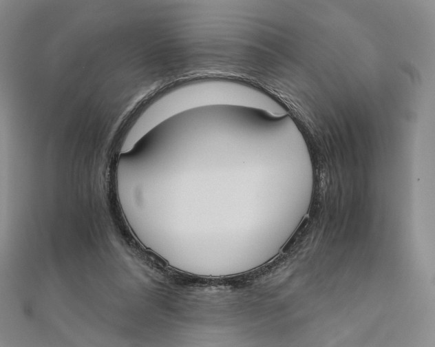 X0000110320304200906111458