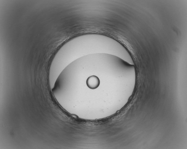 X0000110320305200906111458