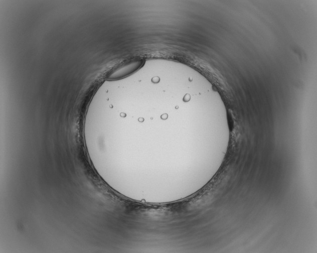 X0000110320306200906111458