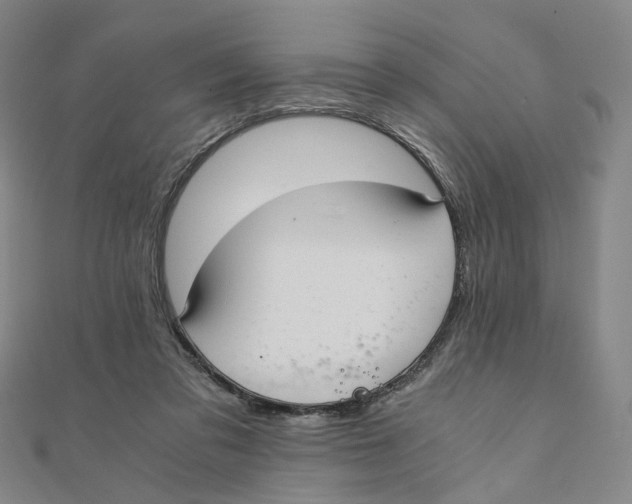 X0000110320309200906111458