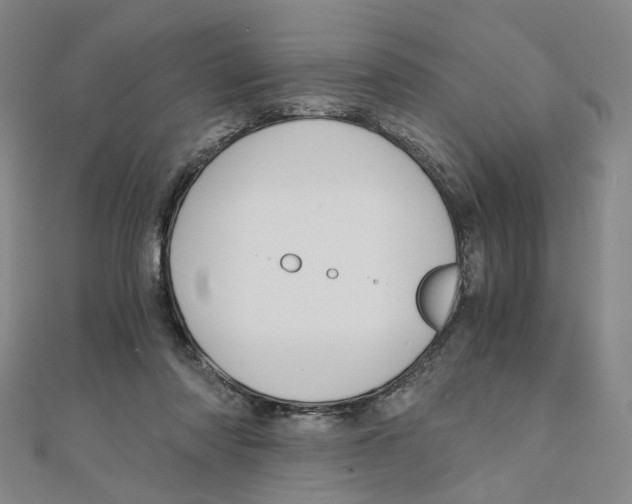 X0000110320310200906111458