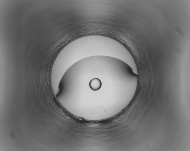 X0000110320313200906111458