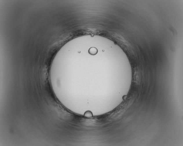 X0000110320318200906111458