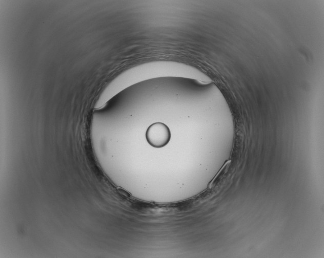 X0000110320323200906111458