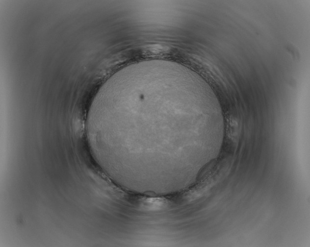 X0000110320324200906111458