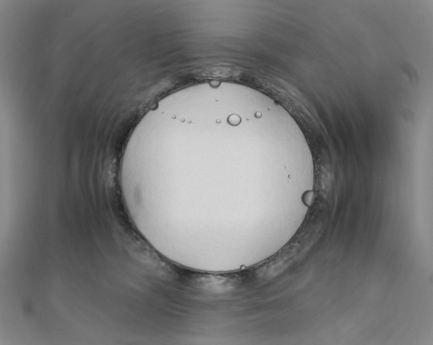 X0000110320326200906111458