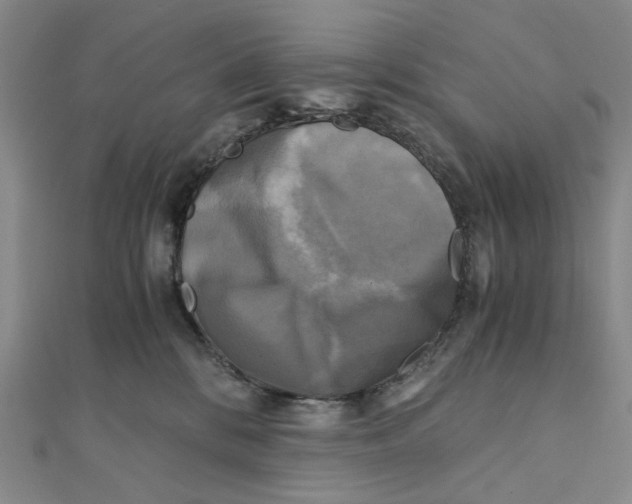 X0000110320328200906111458