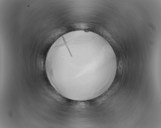 X0000110320330200906111458