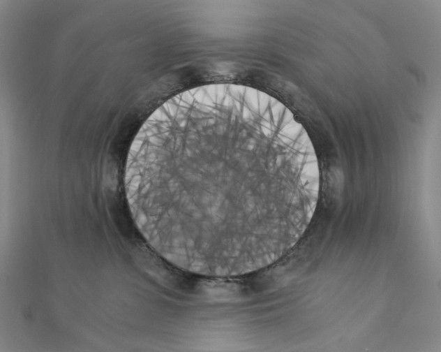 X0000110320331200906111458