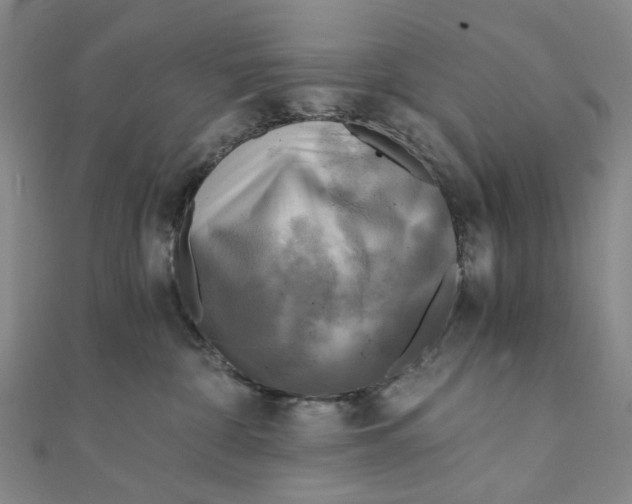 X0000110320332200906111458