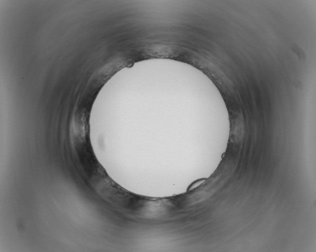 X0000110320334200906111458