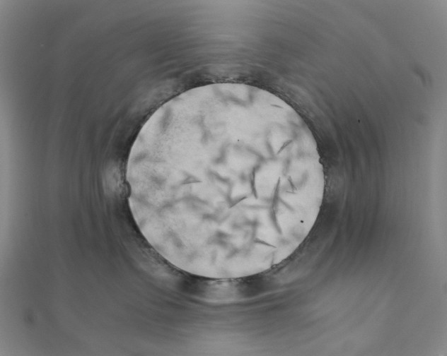 X0000110320335200906111458