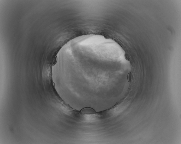 X0000110320336200906111458