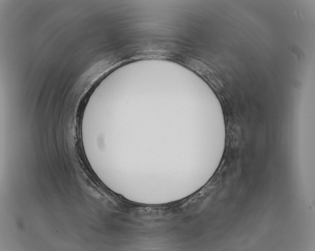 X0000110320338200906111457