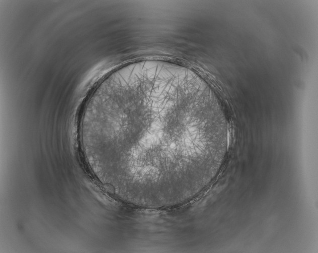 X0000110320339200906111457