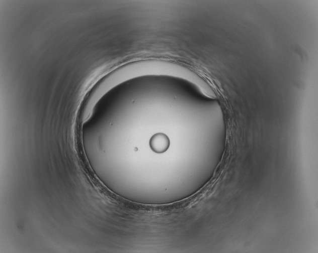 X0000110320340200906111457