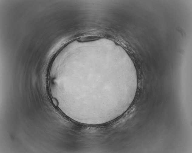 X0000110320341200906111457