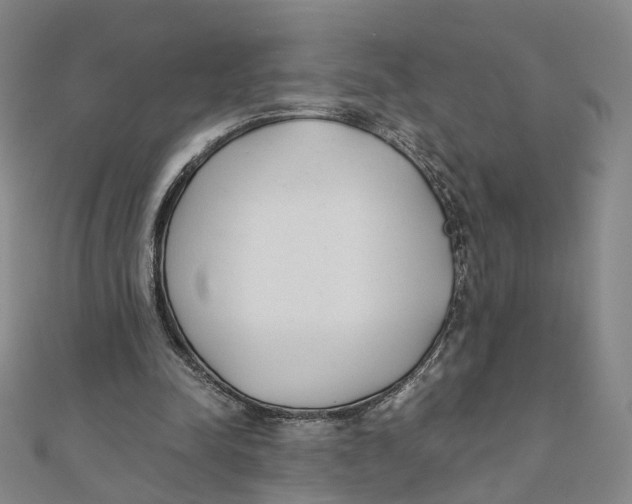 X0000110320342200906111457