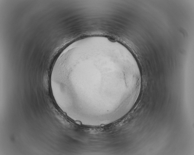 X0000110320345200906111457