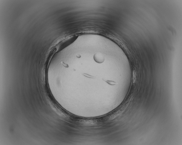 X0000110320349200906111457