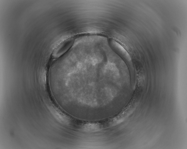 X0000110320350200906111457